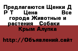 Предлагаются Щенки Д.Р.Т.  › Цена ­ 15 000 - Все города Животные и растения » Собаки   . Крым,Алупка